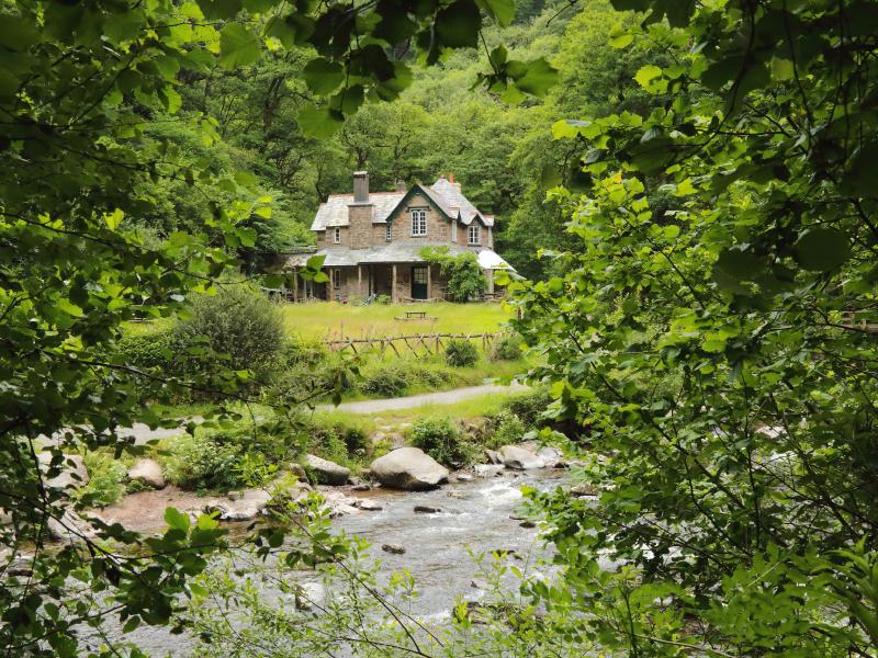 Woodland and water at Watersmeet, from The Denes attractions gallery